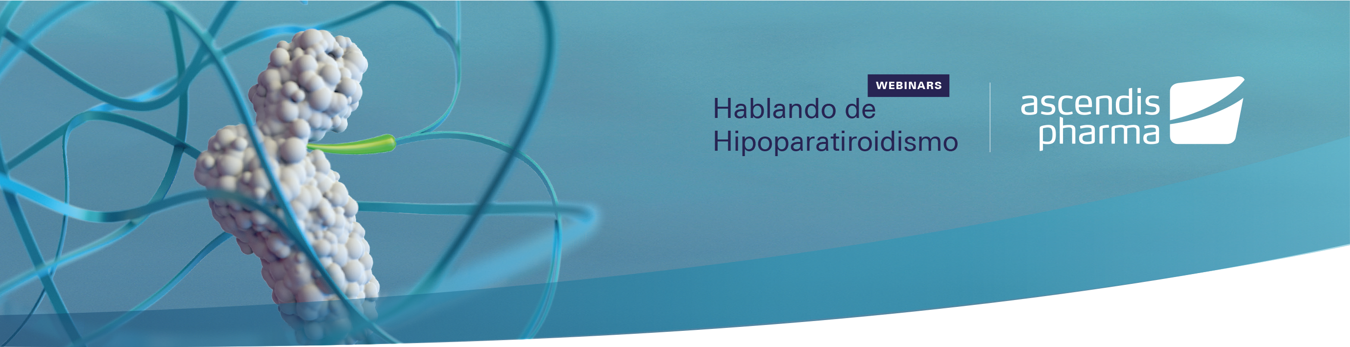Cabecera - Hablando de Hipoparatiroidismo